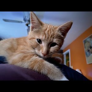 Meet your Posher, Kristin